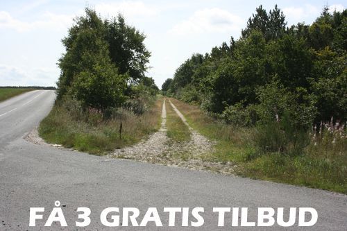 3 tilbud gartner Rødekro: Dette landsdækkende netværk af gartnere ønsker at tilbyde gartnerhjælp 3 tilbud gartner Rødekro: Samtlige samarbejdspartnere konkurrerer om at bistå med ekspertrådgivning