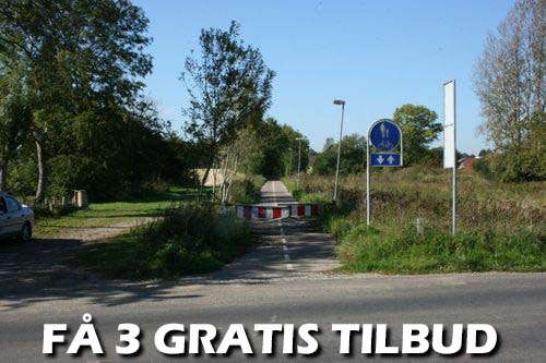 Tilbud gartner Videbæk