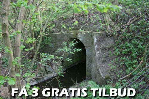 Tilbud gartner Sjælland